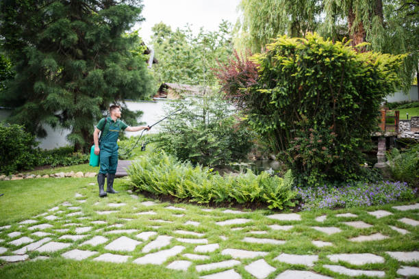 Best Pest Removal Services  in Barnum Island, NY