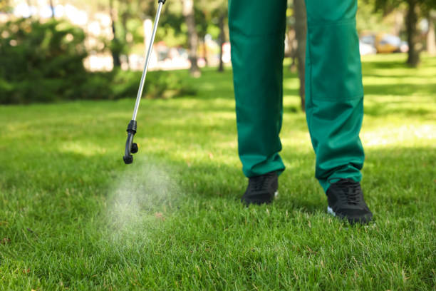 Best Cockroach Control Services  in Barnum Island, NY