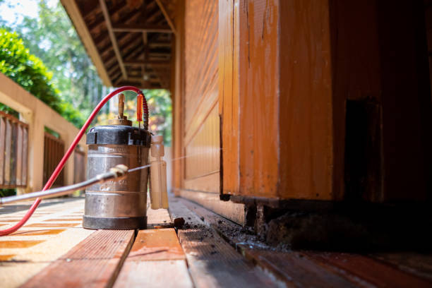 Best Local Pest Control Services  in Barnum Island, NY